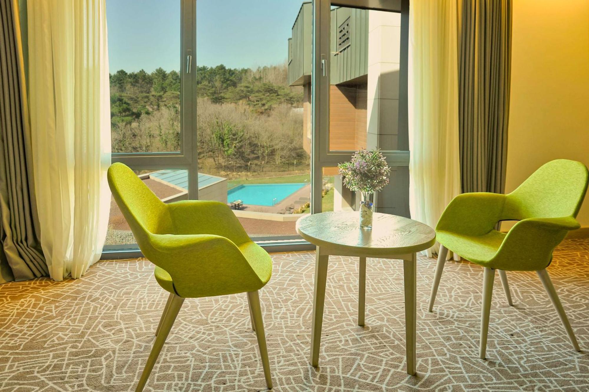 Hotel Park By Radisson Airport Odayeri