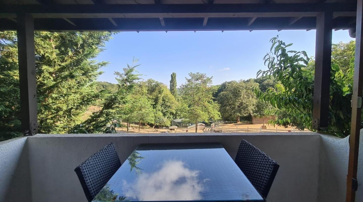 Resort Polonezkoey Country Club & In The Wildlife Park! Istambul