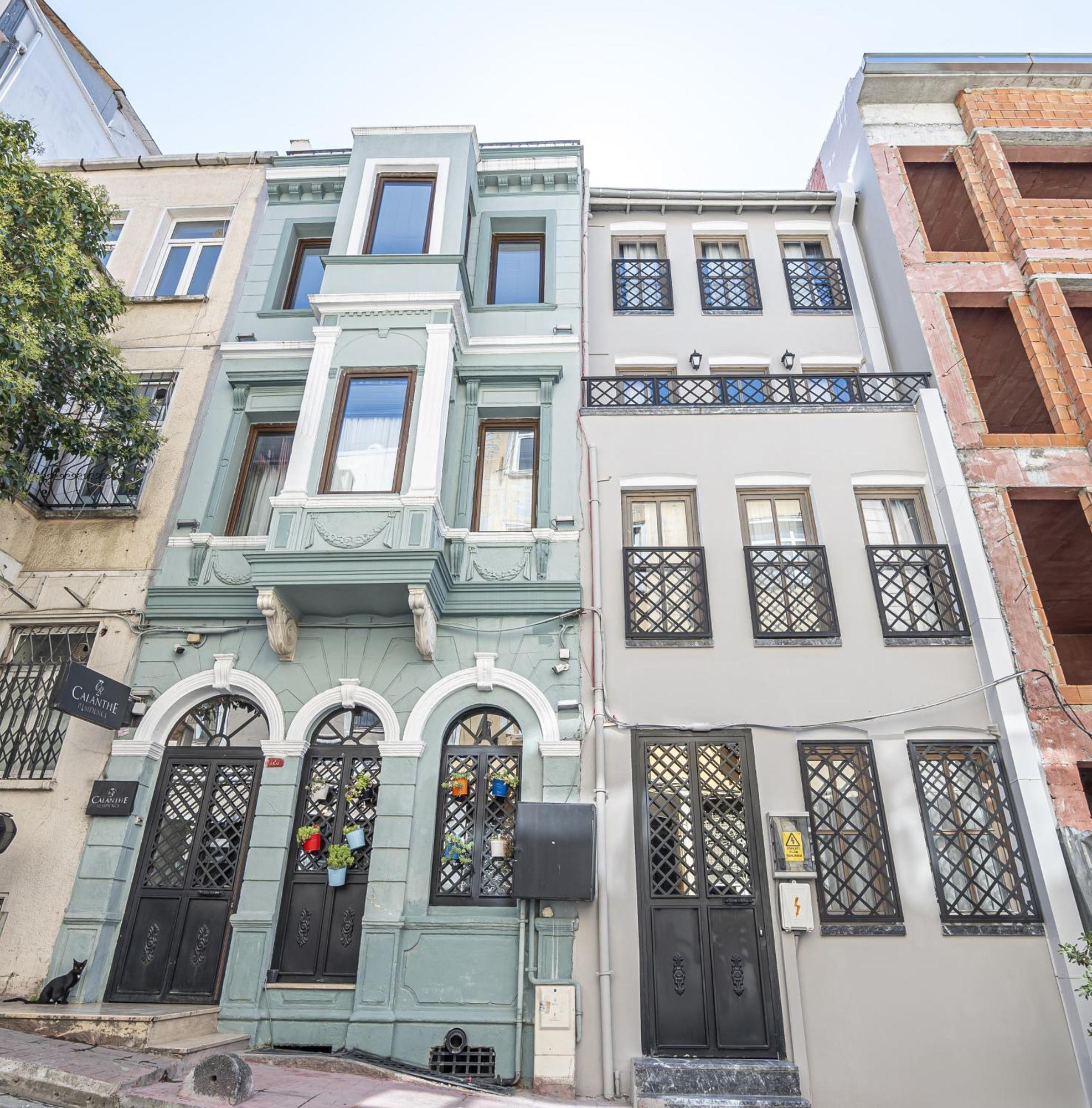 Calanthe Istanbul
