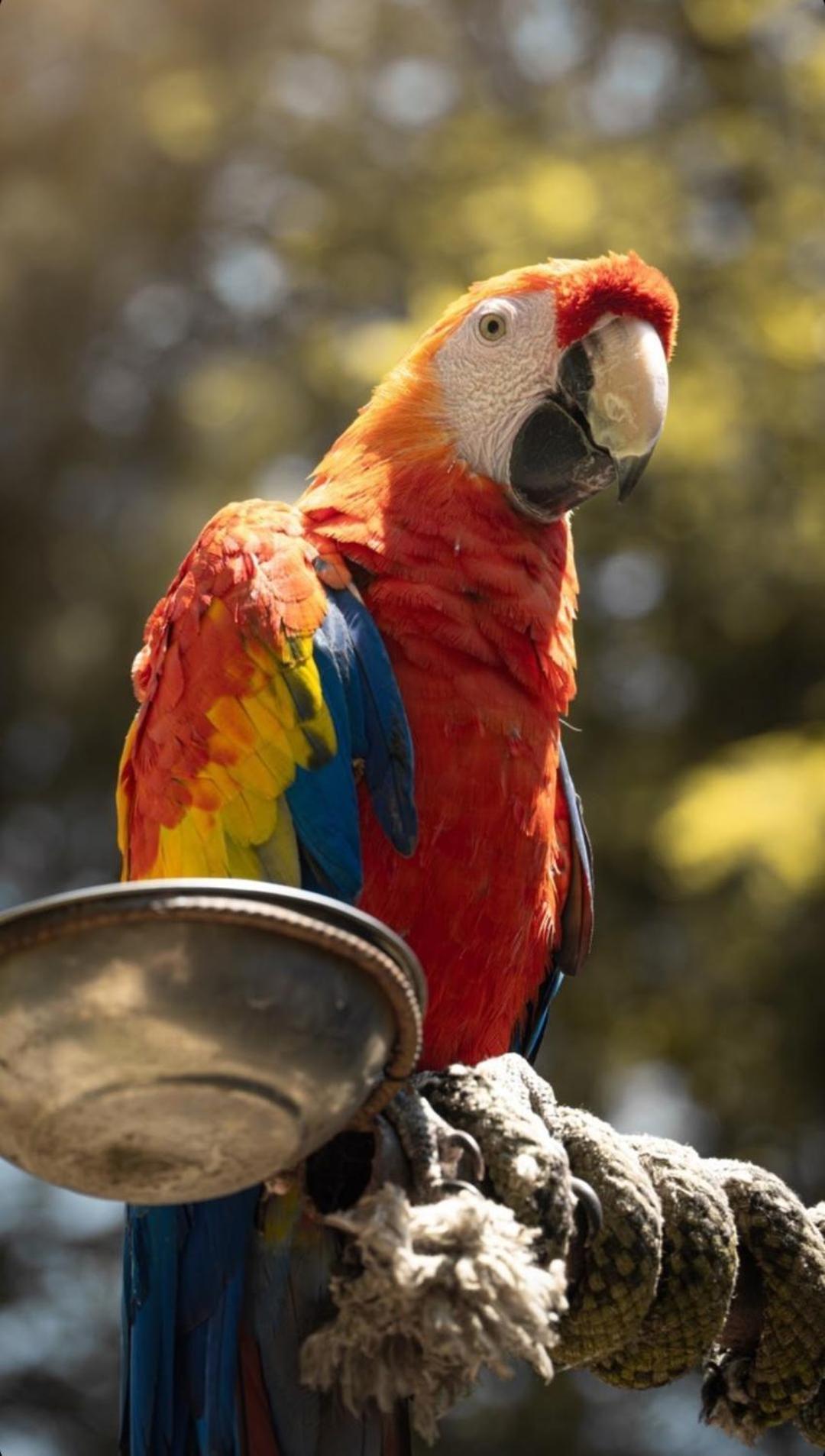 Polonezkoey Country Club & In The Wildlife Park! 3*