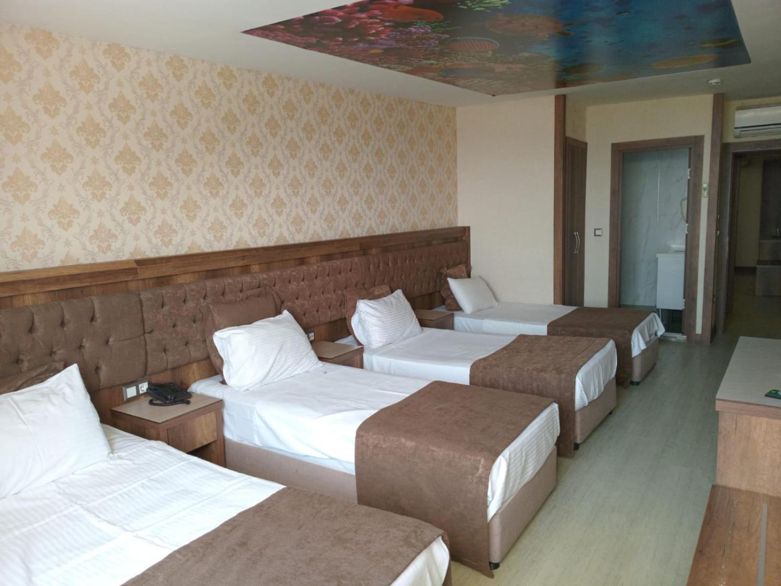 Hotel Buyuk Paris Istambul