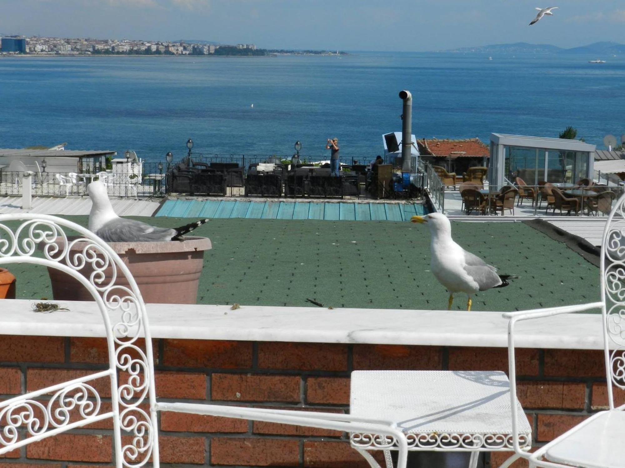 Berk - Grandma's House Istambul