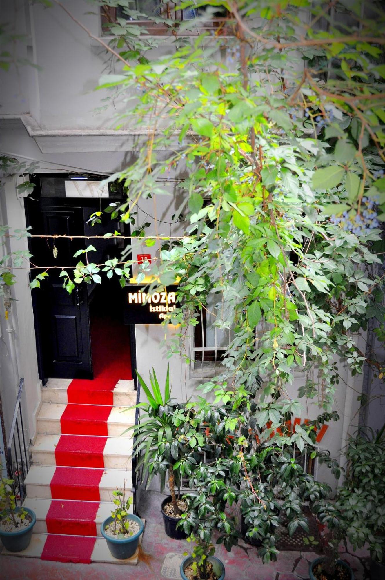 Mimoza Istiklal *