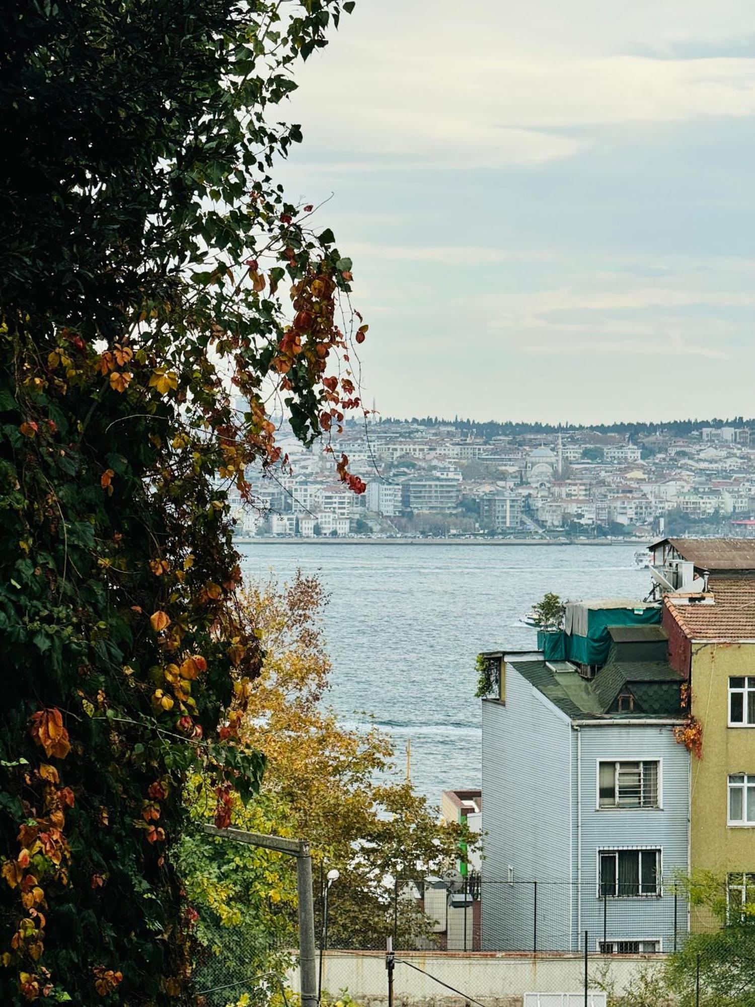 с видом на босфор * Istanbul