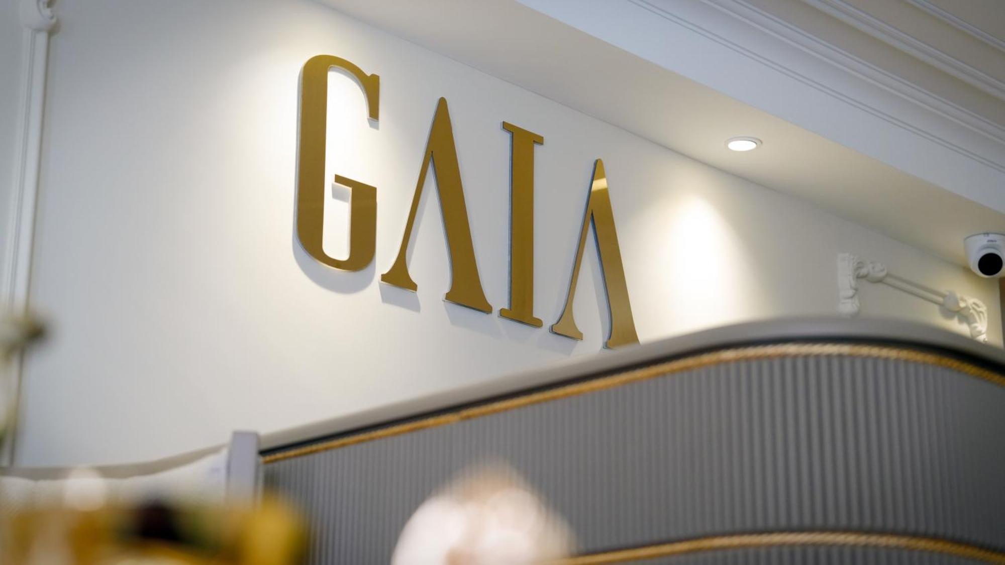 Hotel Gaia