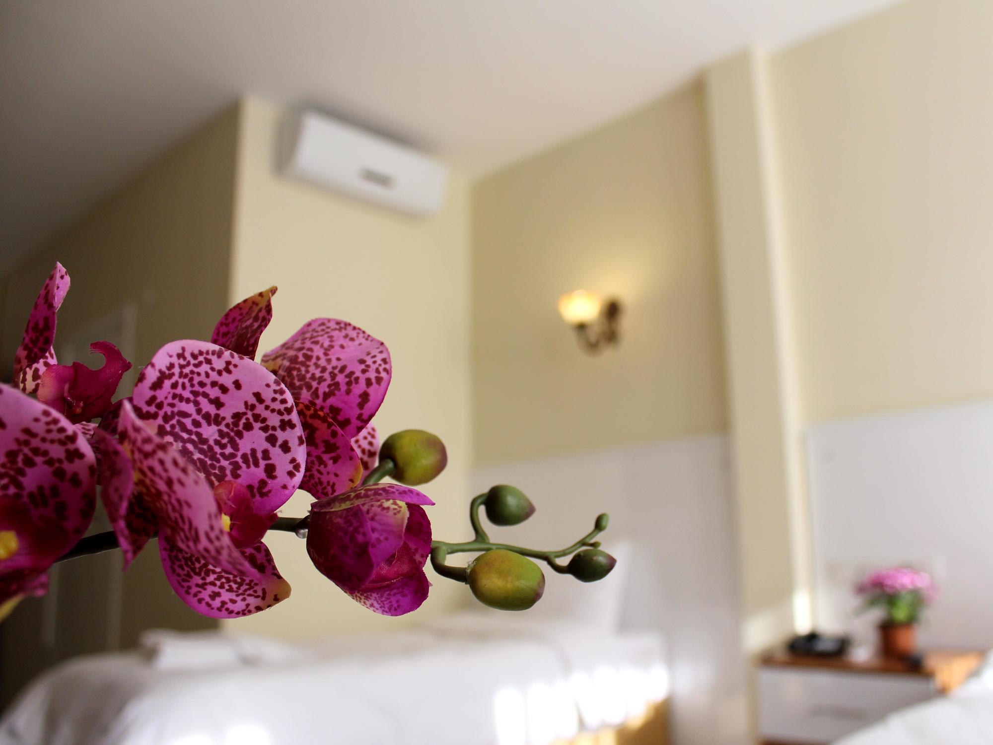 Pera Main Hotel Istanbul