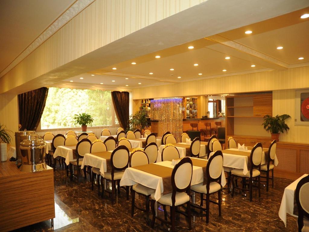 Hotel Alfa