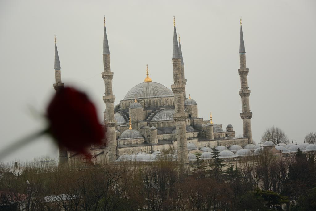 Hotel Esra Sultan Petrol 3*
