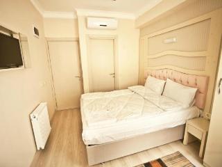 Vizyon Istambul