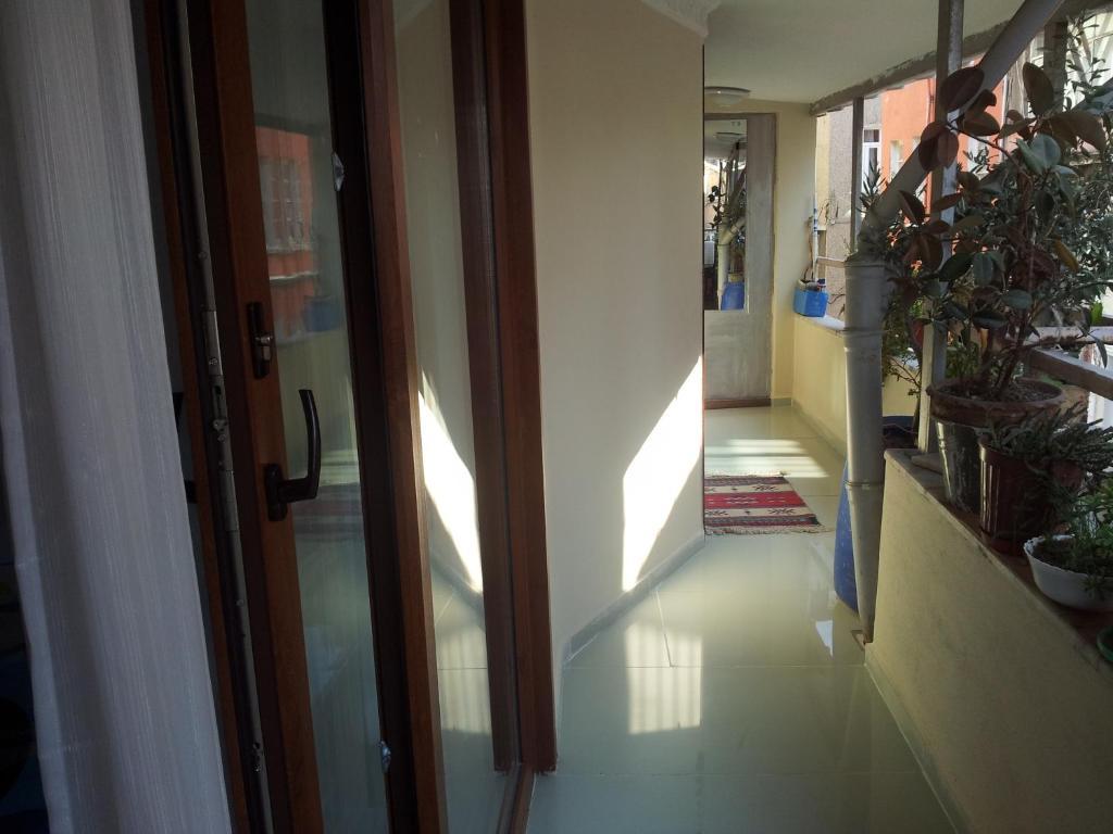 Nelly Guest house *