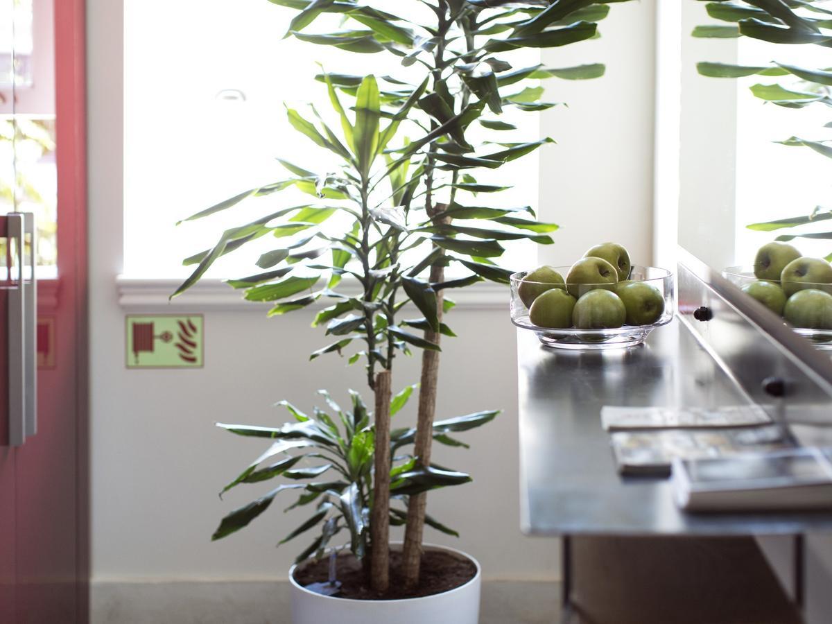 Be Mate Casa Di Bava Apartment