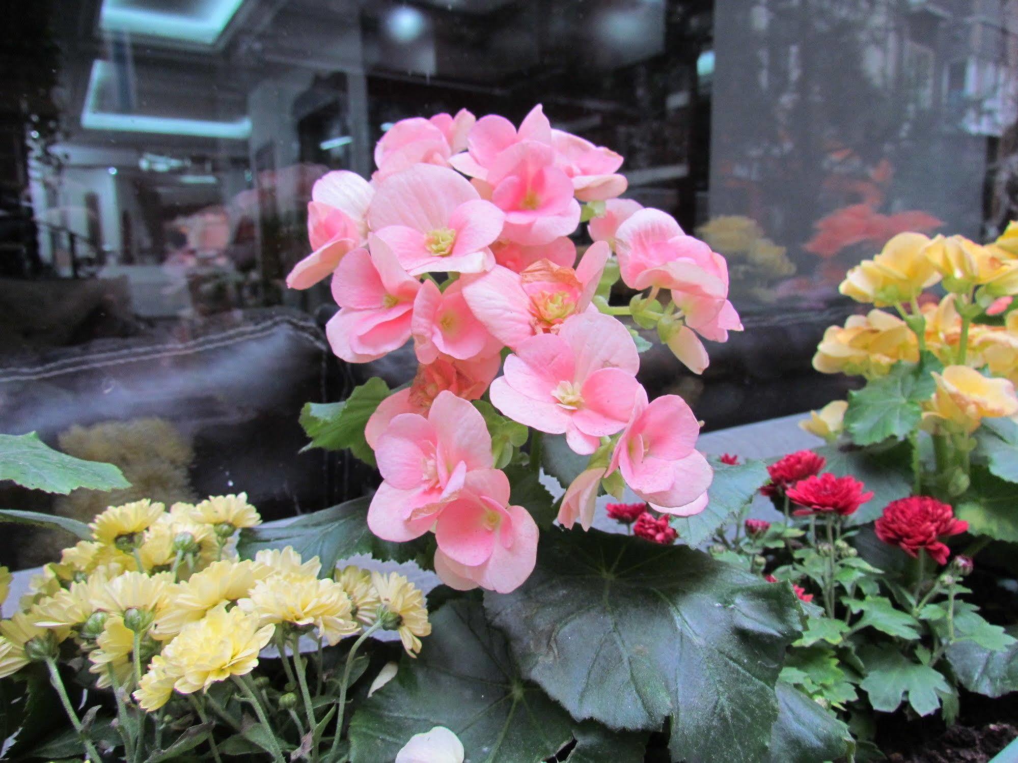Promise Hotel Istanbul
