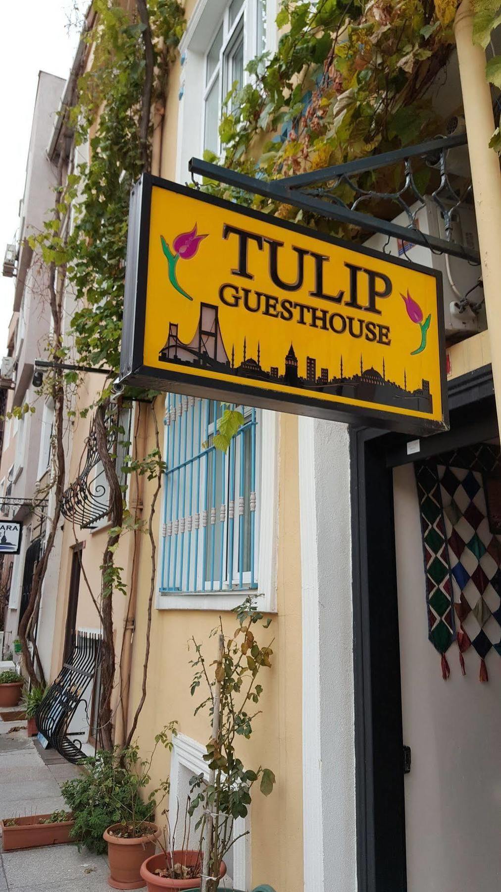 Tulip 2*