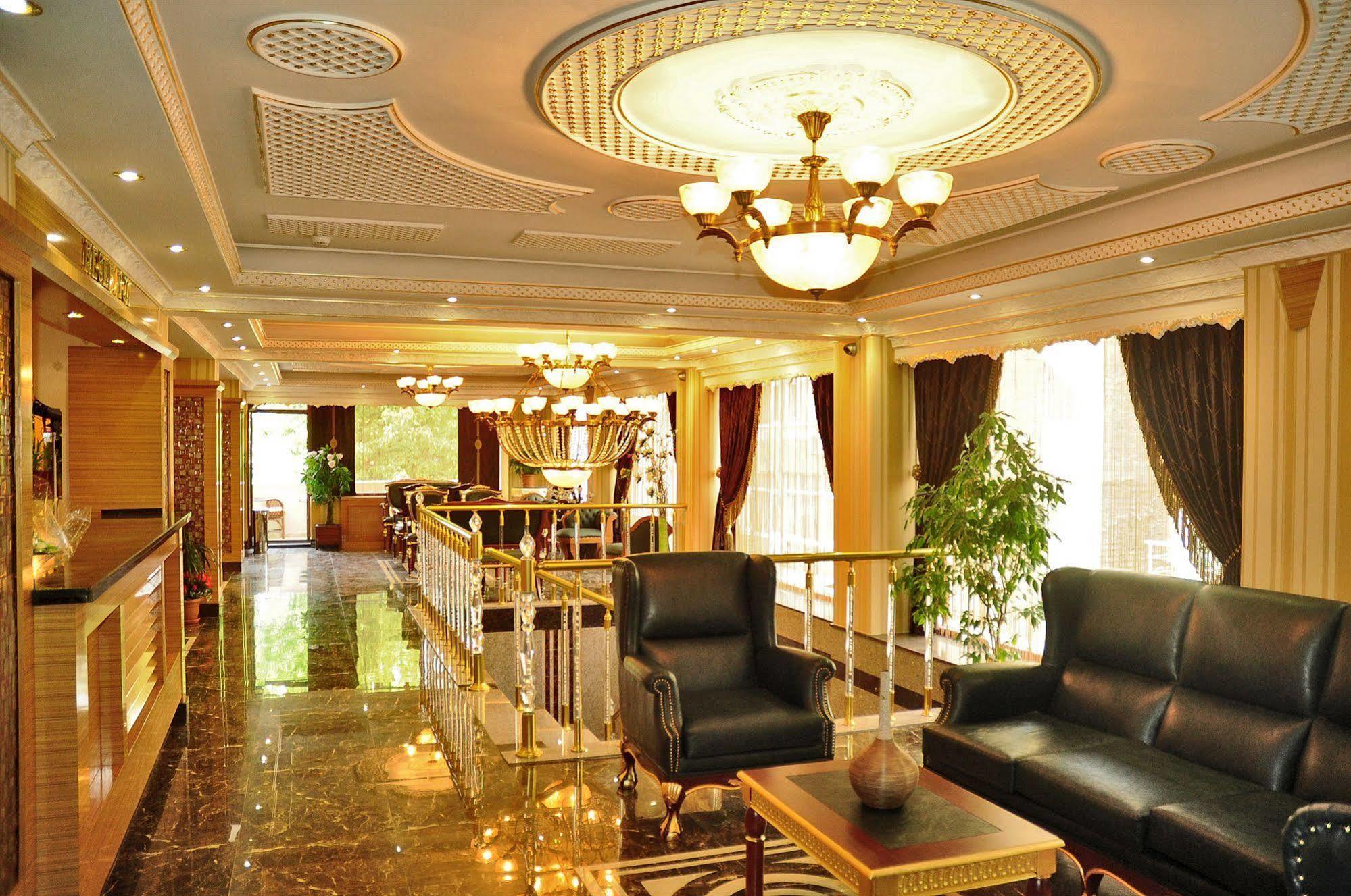 Hotel Alfa