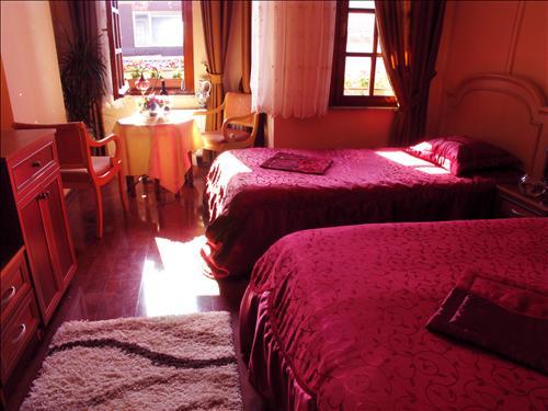 Hotel Nova Roma 3*