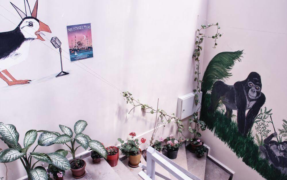 Hostel Puffin Boutique - *