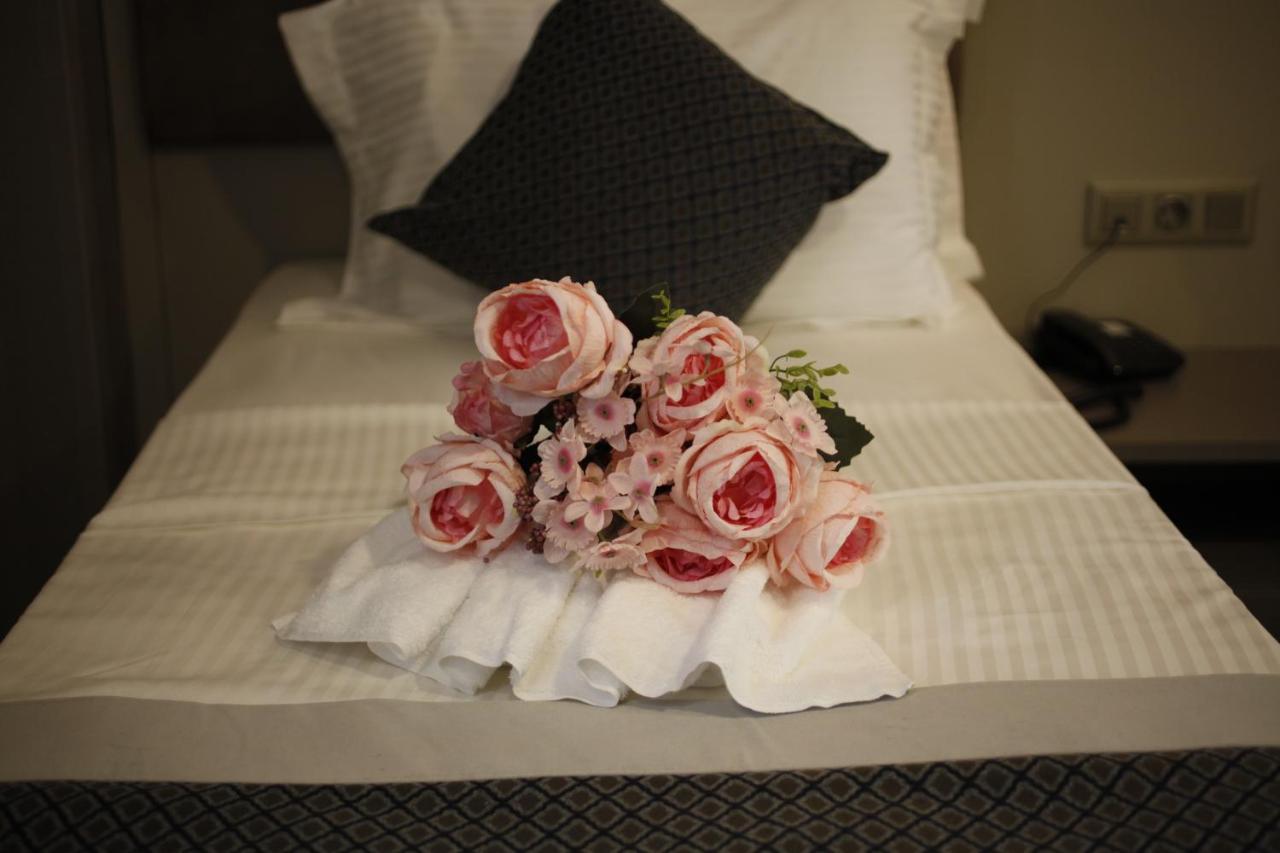 Anka Premium 3*
