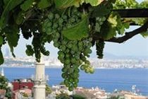 Konukevi Buhara İstanbul