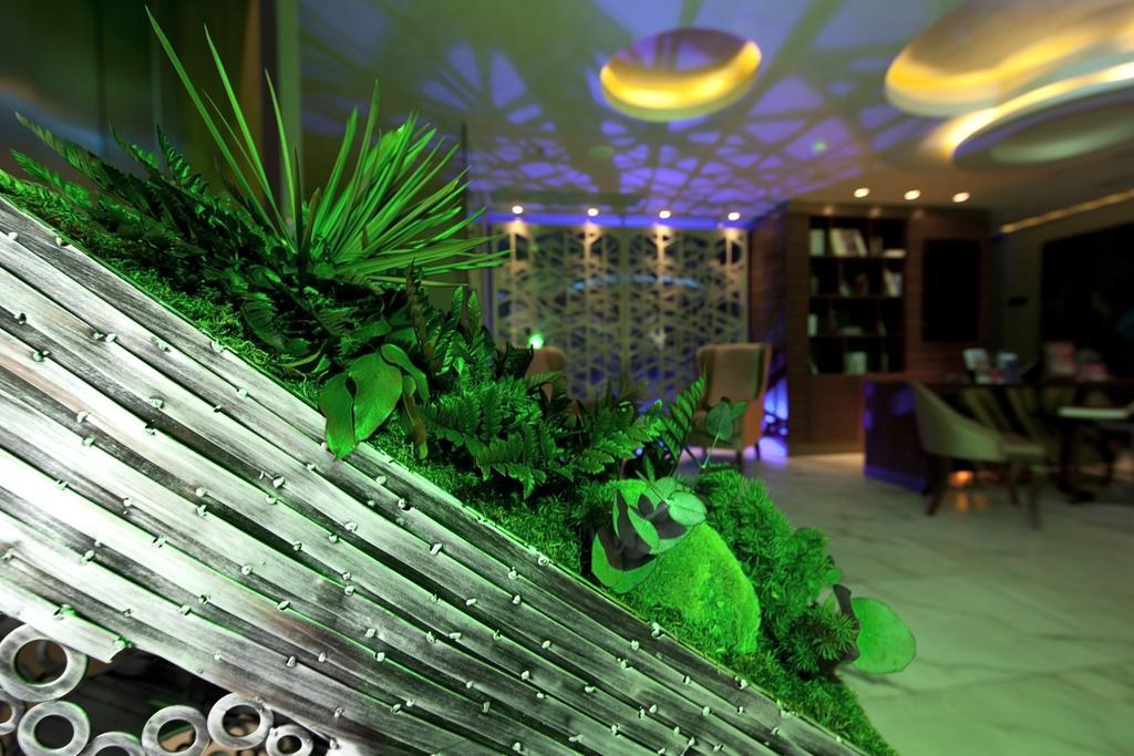 Hotel Taba Luxury And Istambul