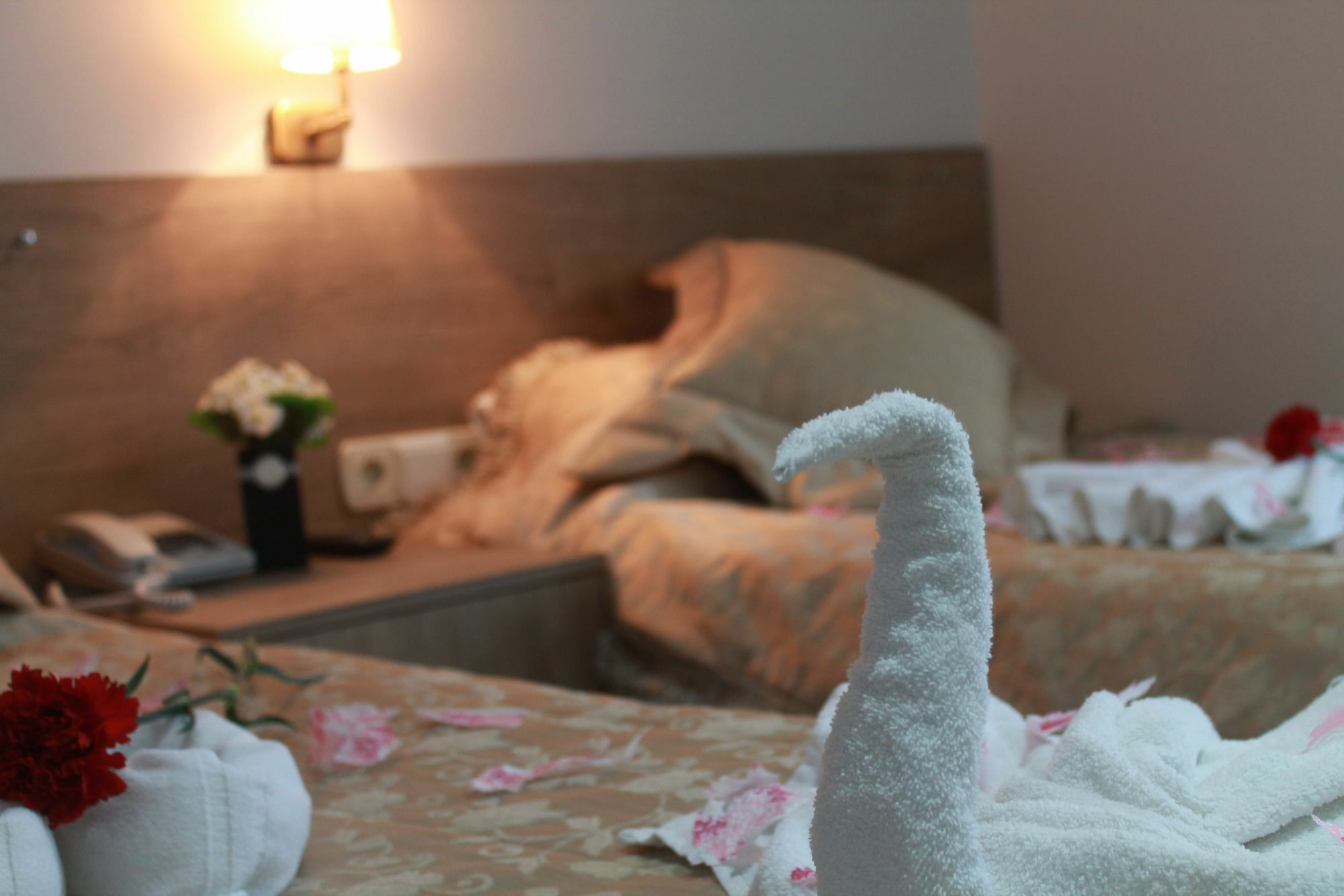 Hotel Rozza 5*