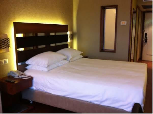 Hotel Hilton Parksa