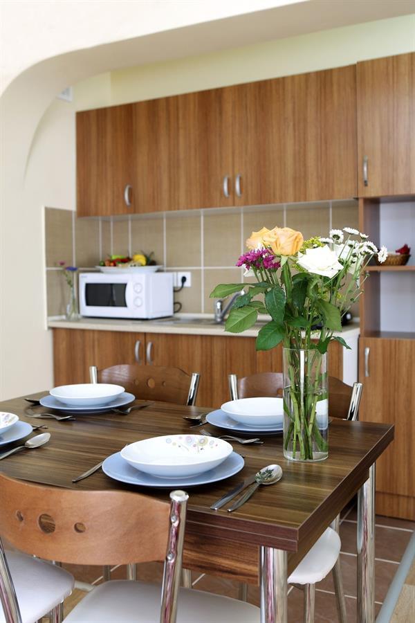 Apartment Ekim *