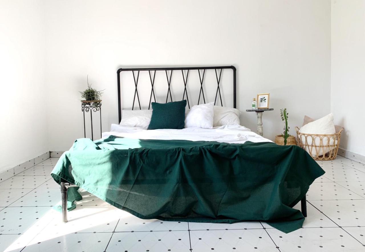 Farm Farm stay Istanbul
