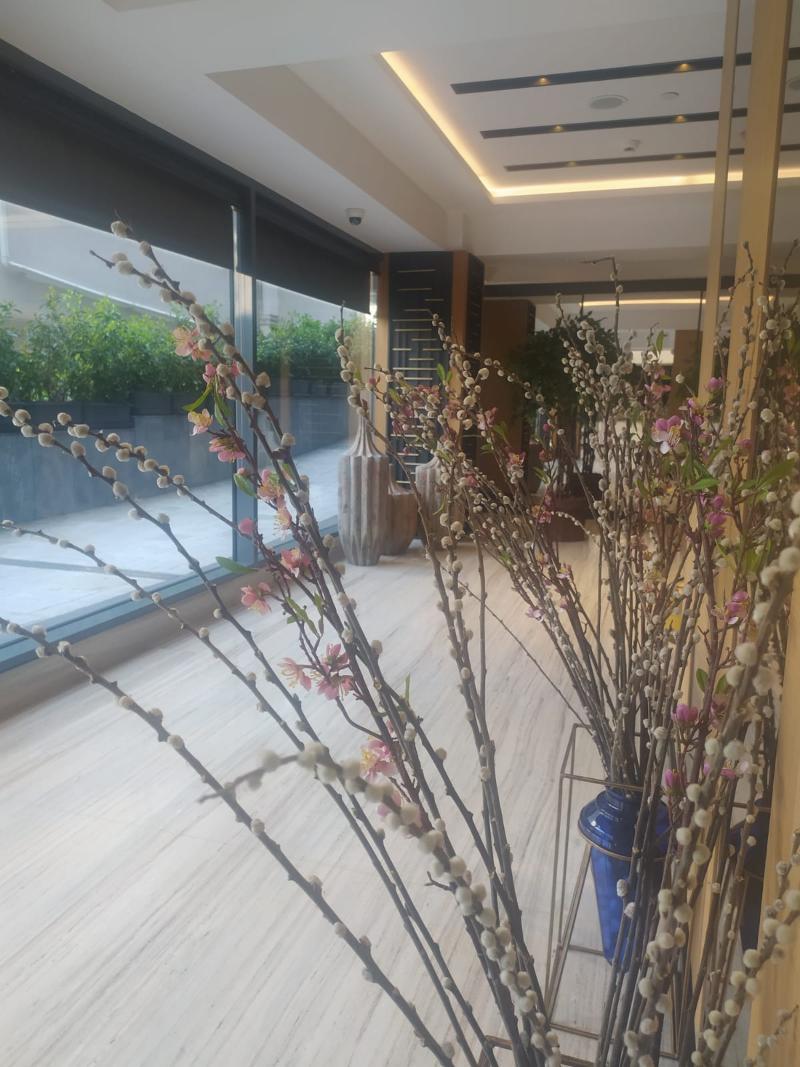 Broyt Hotel 4*