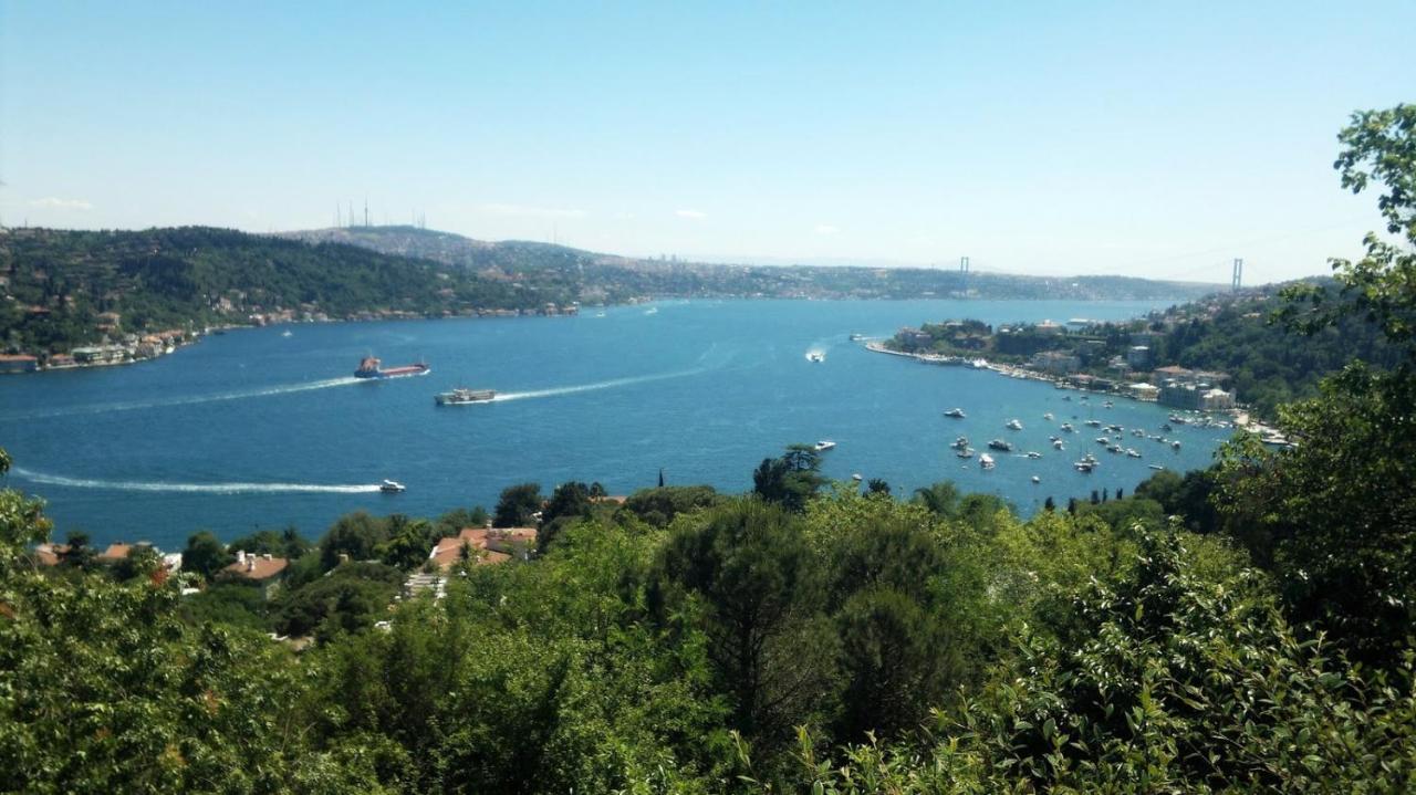 Inin Bebek * Istanbul