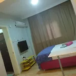 Hygienic Budget Accommodation Central 40 50 Square Meters With Garden