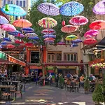 Can\'S Place