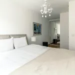Modern Flat Near Sapphire Shopping Mall