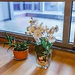 Modern Studio Flat With City View In Sariyer