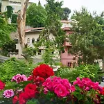 Cute Charming 1Bed1Bath Bebek Hidden Gem! #77