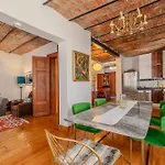 Historic Spacious Galata Apartment