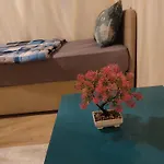 B.A.A Sabiha Goekcen