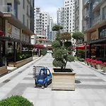 Akkoza Akbati