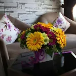 Life Room Hotel