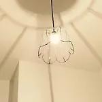 Droom Boutique Hotel