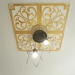 Gold Rose Apart