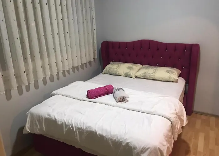 Hygienic Budget Accommodation Central 40 50 Square Meters With Garden