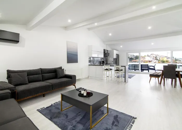 Sleek House With A Lovely Terrace In Besiktas