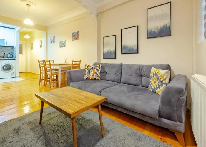 Centrally Located Flat With Balcony In Beyoglu