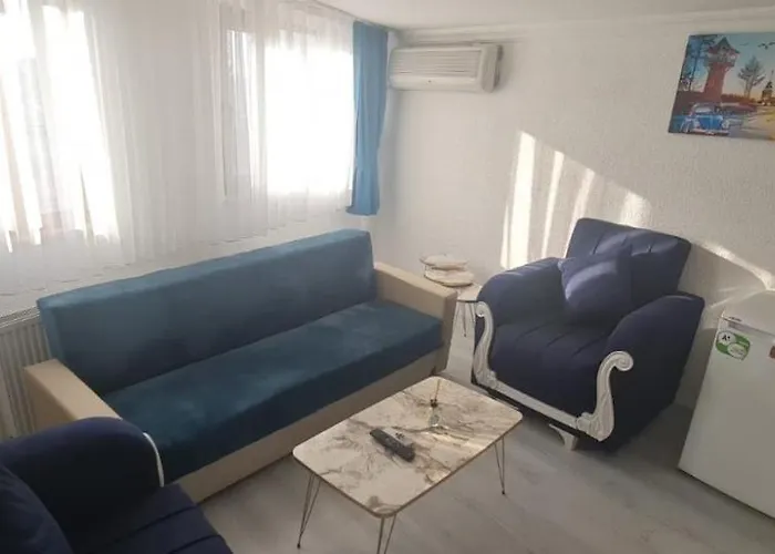 Volter Group Misir Bugdayi Taksim