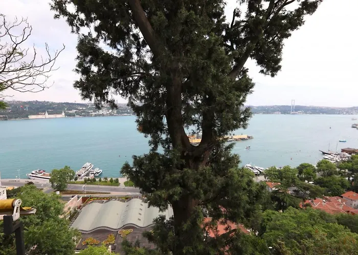 Exclusive Flat With Bosphorus View In Besiktas