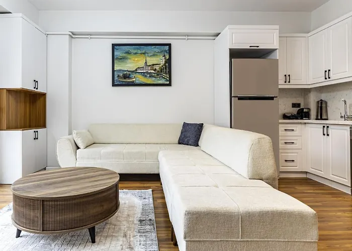 Modern Furnished Comfy 21 Flat In Sisli