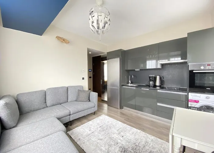 Convenient Flat In Secured Residence In Kagithane