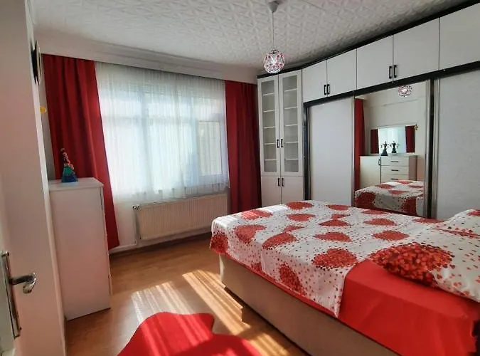 Taksimde Deniz Ve Marti Esliginde Uyanmak