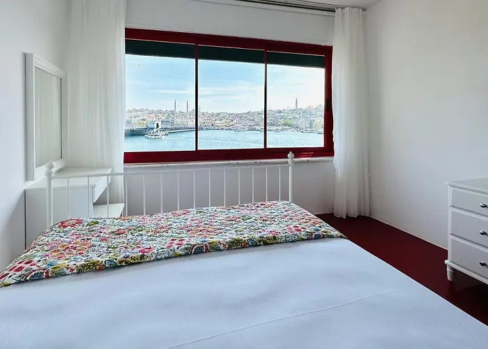 Baracuda Karakoy