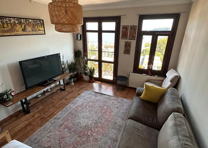 Historic Wooden House With Bosphorus View
